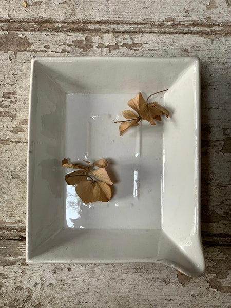 Antique Developing Tray