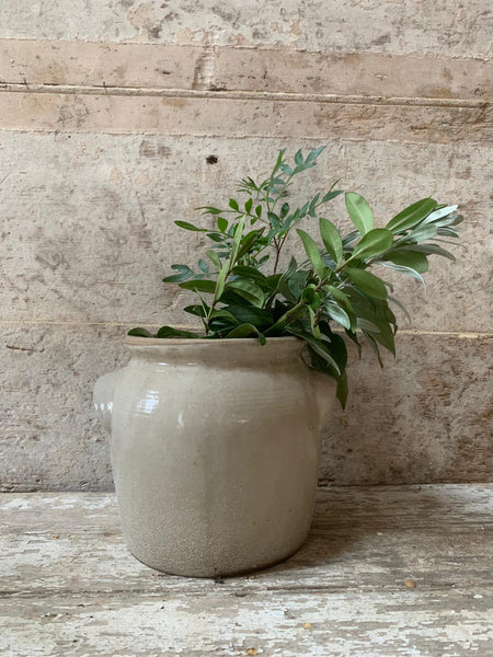 French Confit Jar Small