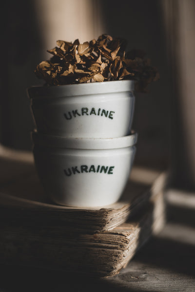 Vintage Ukraine Yoghurt Pot