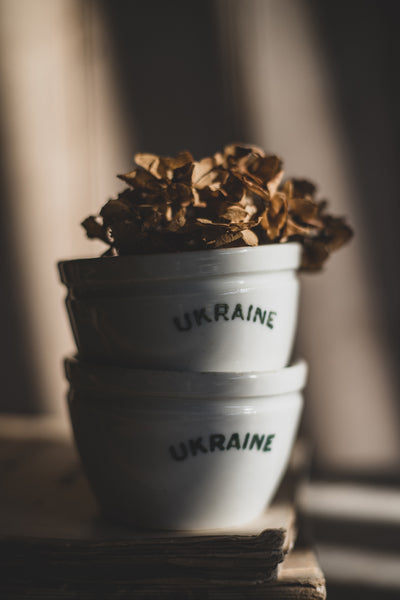 Vintage Ukraine Yoghurt Pot