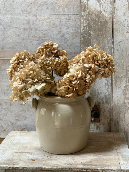 Extra Large Vintage French Confit
