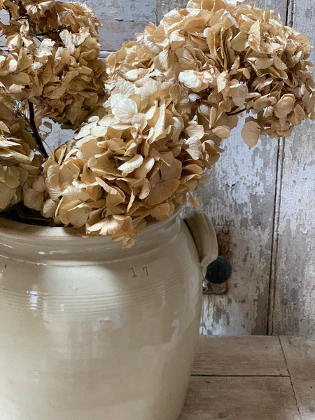 Extra Large Vintage French Confit