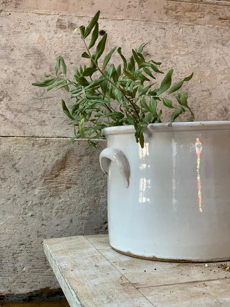 Vintage French Wide Jar Croc