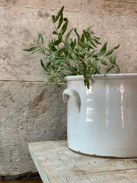 Vintage French Wide Jar Croc