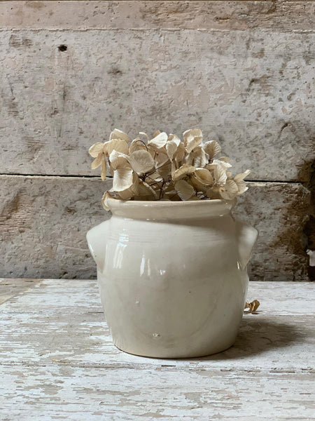 French Miniature Confit