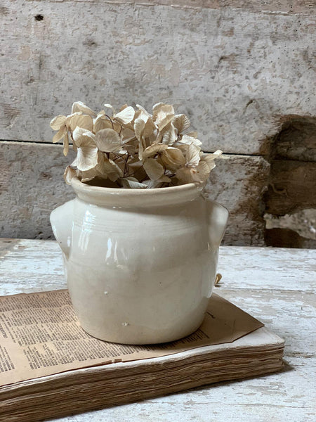 French Miniature Confit