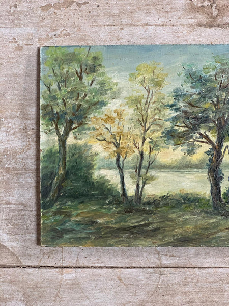 Landscape Tree Oil on Board