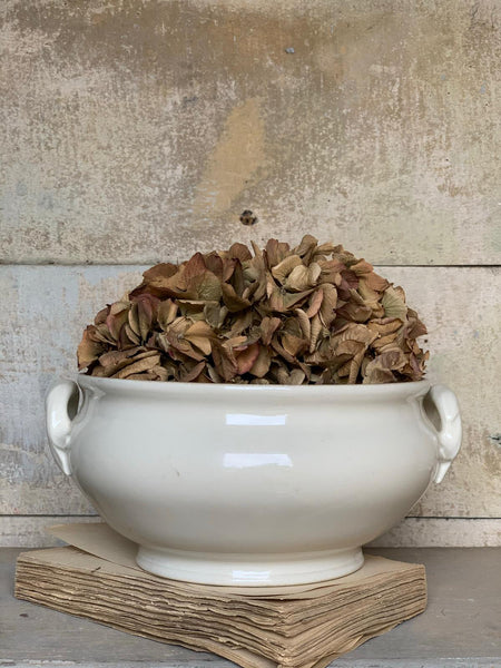 French Vintage Tureen