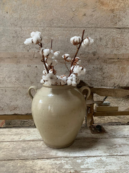 Rare Huge French Confit Jar