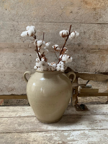 Rare Huge French Confit Jar
