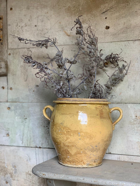 Yellow French Confit Jar Large