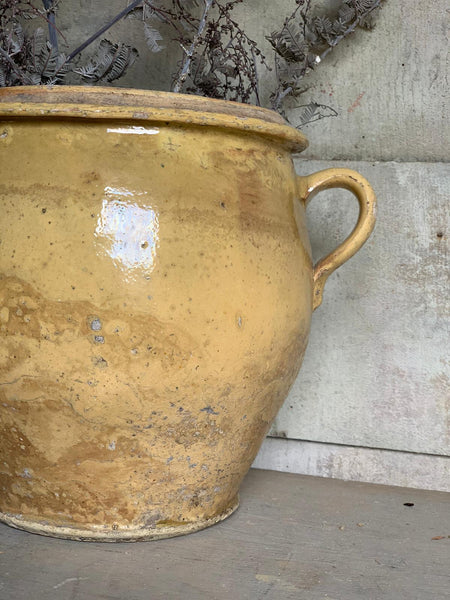 Yellow French Confit Jar Large