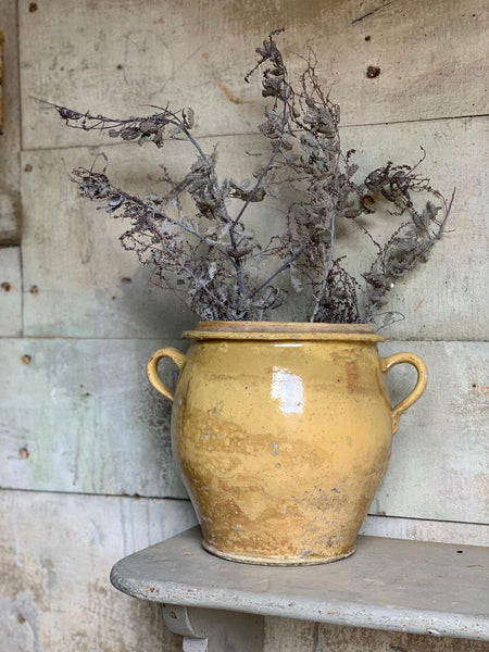 Yellow French Confit Jar Large