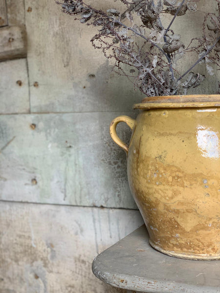 Yellow French Confit Jar Large