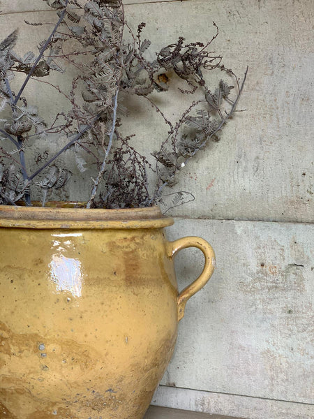 Yellow French Confit Jar Large