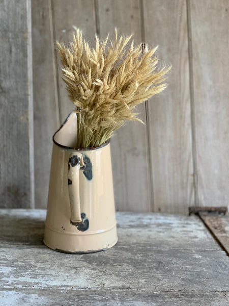 Chippy Enamel Jug