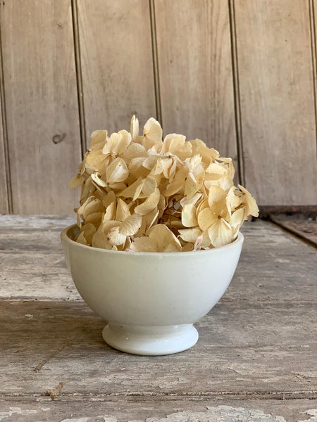 French Cafe au Lait Bowl