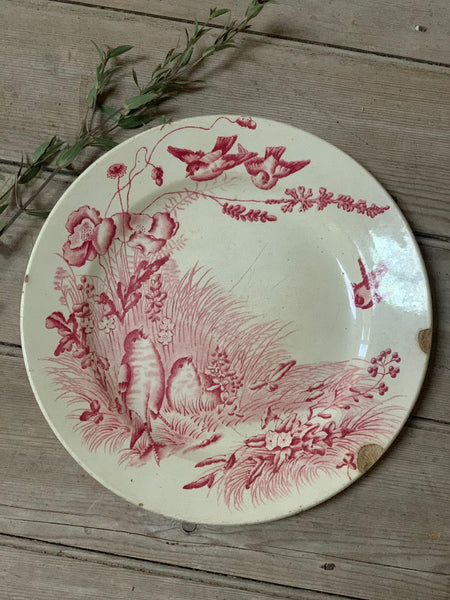 Terre De Fer Stunning Red Bird Transferware Plate