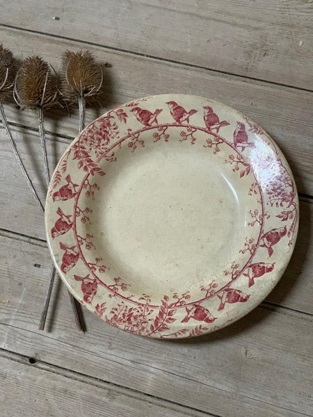 Stunning Terre De Fer Bird Plate