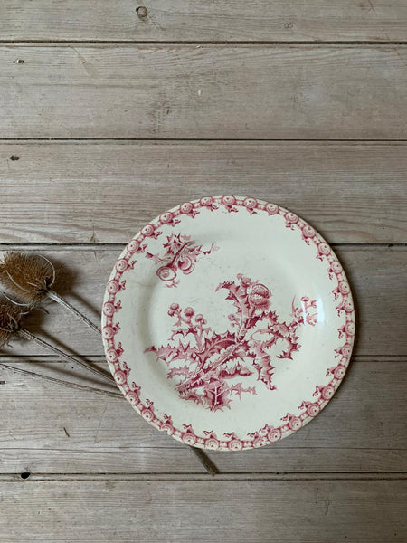 French Vintage Thistle Plate