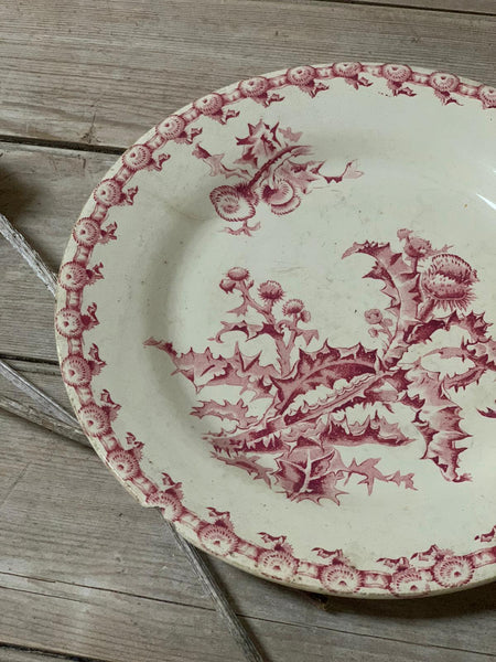 French Vintage Thistle Plate