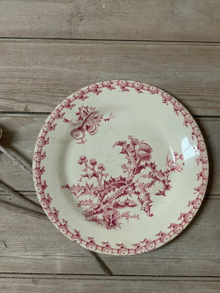 French Vintage Thistle Plate