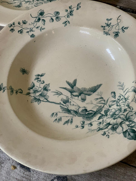 Lovely Longwy Bird Plates