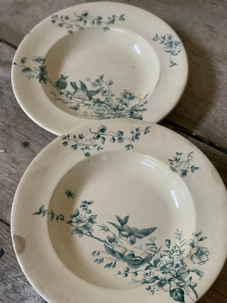 Lovely Longwy Bird Plates