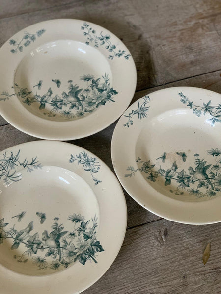 French Vintage Plates