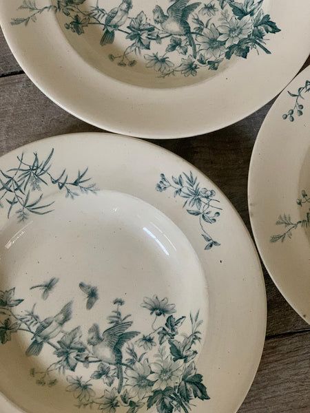 French Vintage Plates