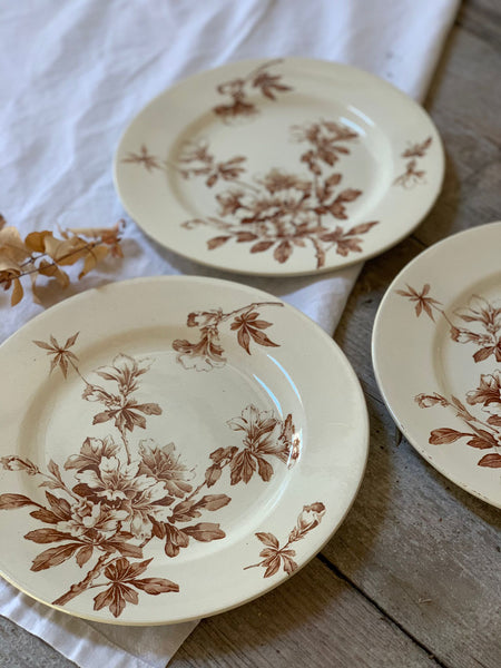 Brown Floral Transferware Plate