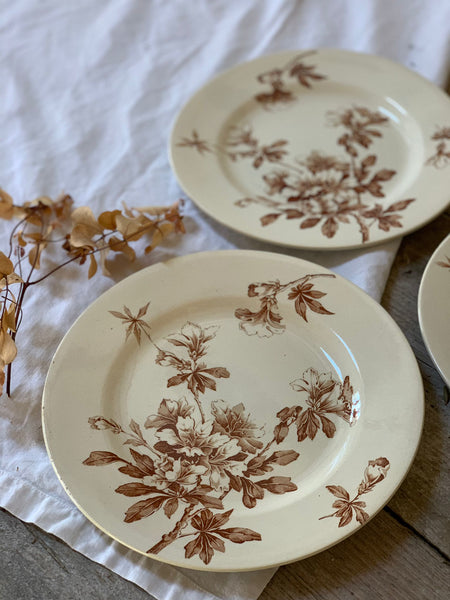 Brown Floral Transferware Plate