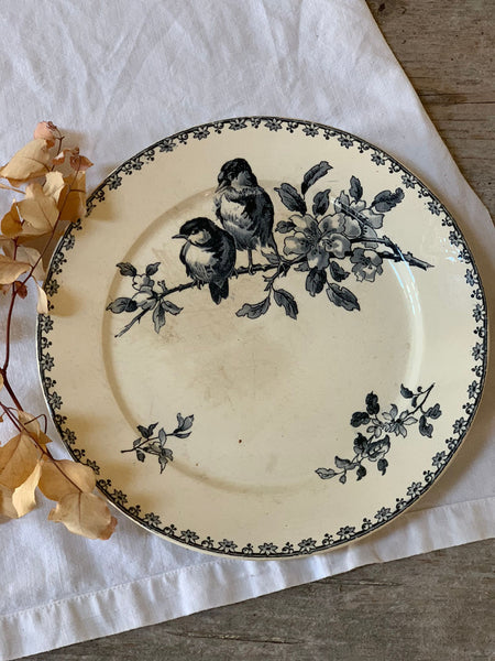 Two Birds French Transferware Plate