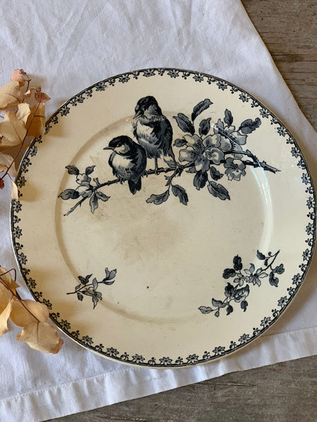 Two Birds French Transferware Plate