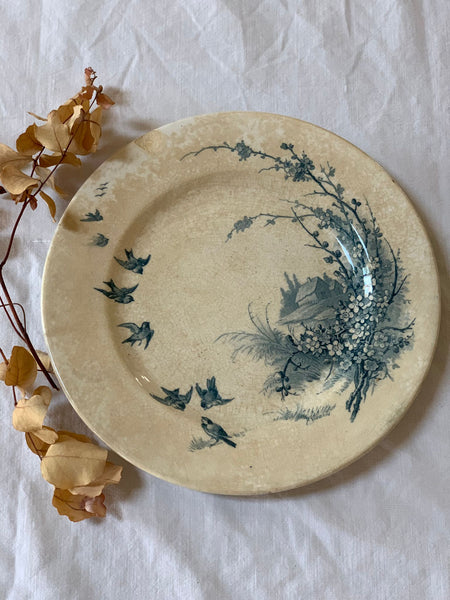 French Floral Bird Plate