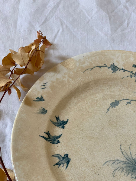 French Floral Bird Plate