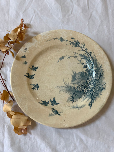 French Floral Bird Plate