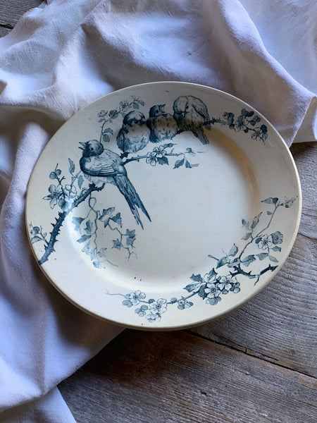 French Vintage Bird Plate