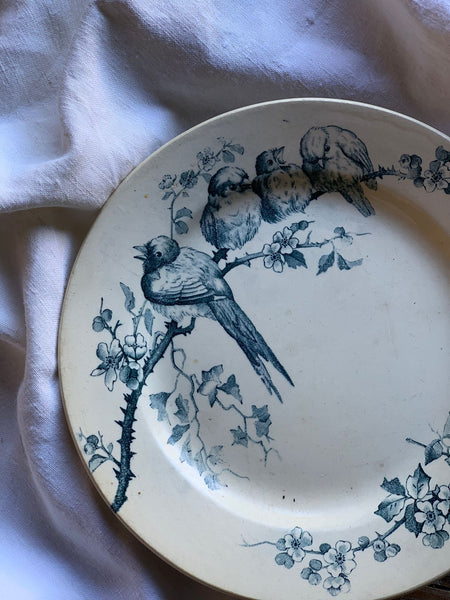 French Vintage Bird Plate