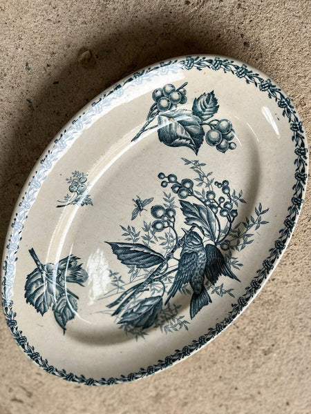 Stunning Bird French Vintage Platter