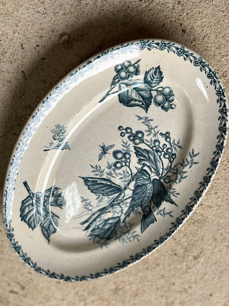 Stunning Bird French Vintage Platter