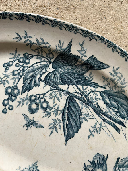 Stunning Bird French Vintage Platter