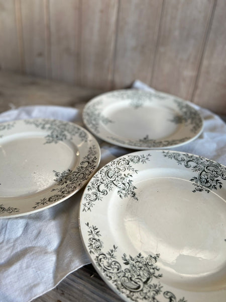 Antique French Terre De Fer Transferware Plates