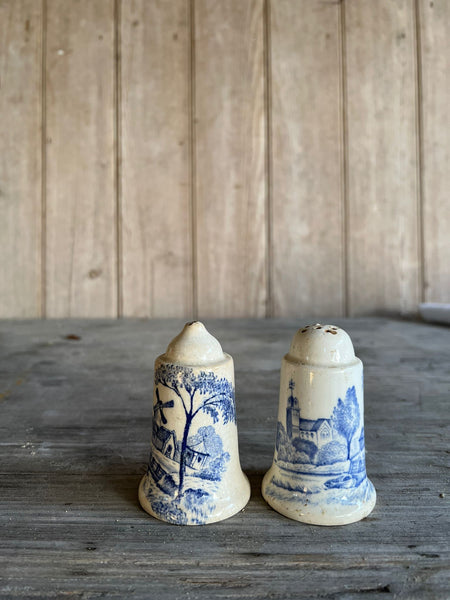 Stunning French Vintage Transferware Salt and Pepper Shakers