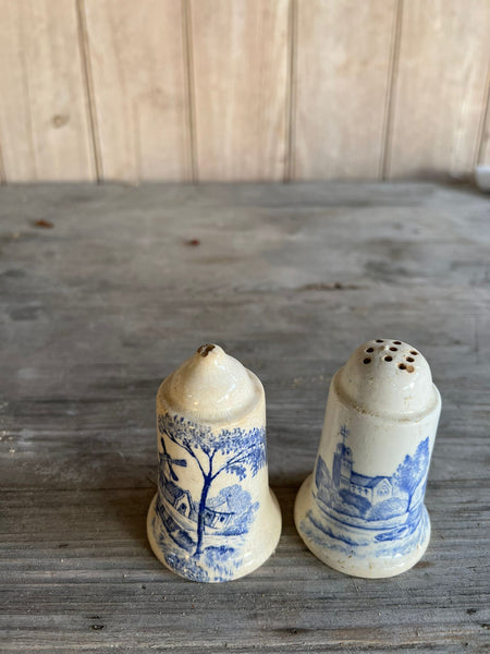 Stunning French Vintage Transferware Salt and Pepper Shakers