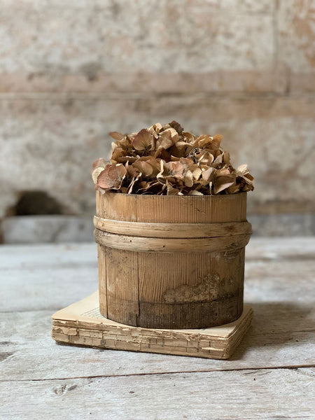 French Rustic Mould (Medium)