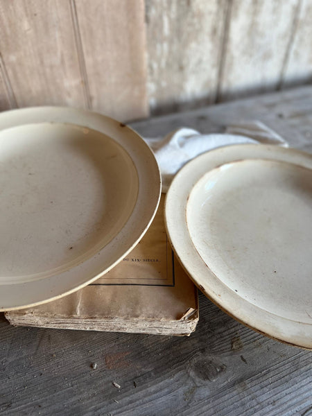 Pair of French Antique Rustic Dishes