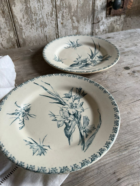 Porcelaines De Gien Stunning Floral Plates