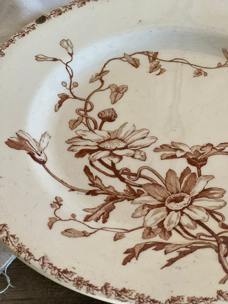 Brown Vintage Floral Plate