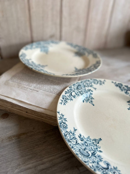 Terre De Fer Floral Plates